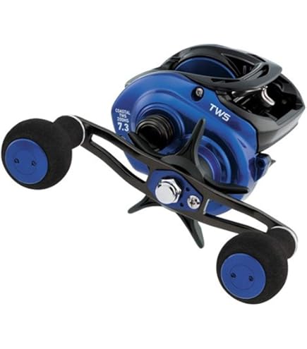 Amazon.com : DAIWA Bait Reel 23SALTIST SV TW 80XH PE SPECIAL